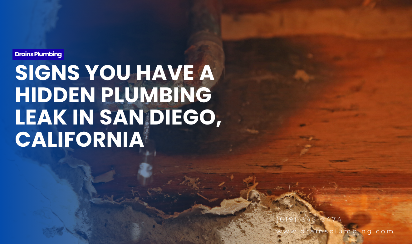 how to tell if you have a hidden plumbing leak San Diego