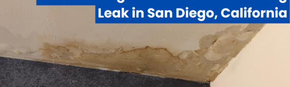 Common Signs of a Hidden Plumbing Leak in San Diego, California