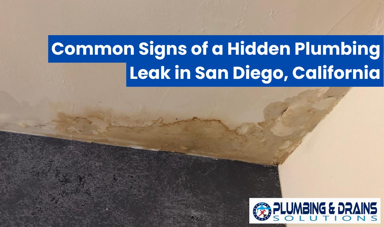 hidden plumbing leak signs San Diego