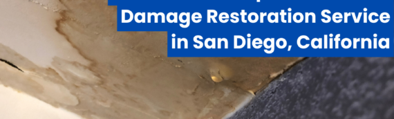 Discover the Top Rated Water Damage Restoration Service in San Diego, California
