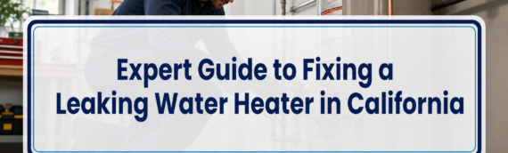 Expert Guide to Fixing a Leaking Water Heater in California
